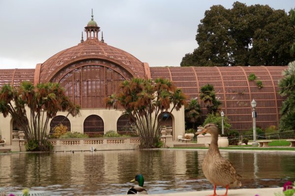 Botanical Garden Balboa park