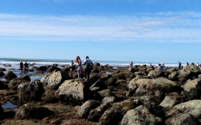 Point Loma Tide Pools