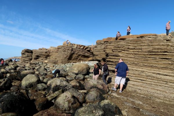 Point Loma Tide Pools