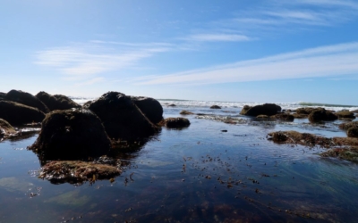 océan pacifique