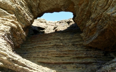 Point Loma Tide Pools