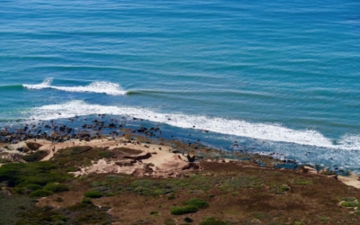 Point Loma Tide Pools