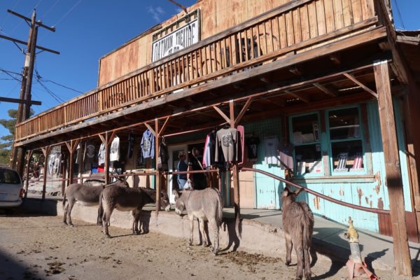 Oatman Route 66 