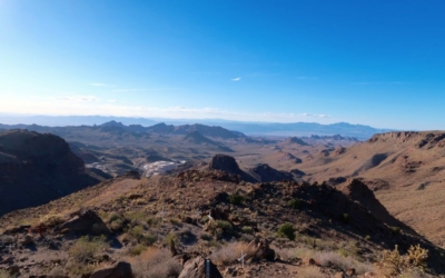 oatman