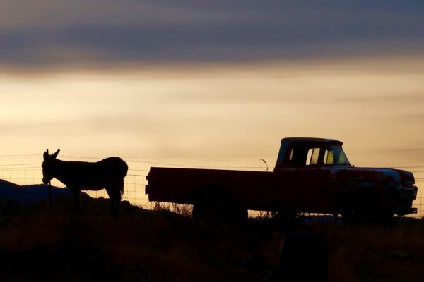 Route 66