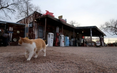 Hackberry General Store