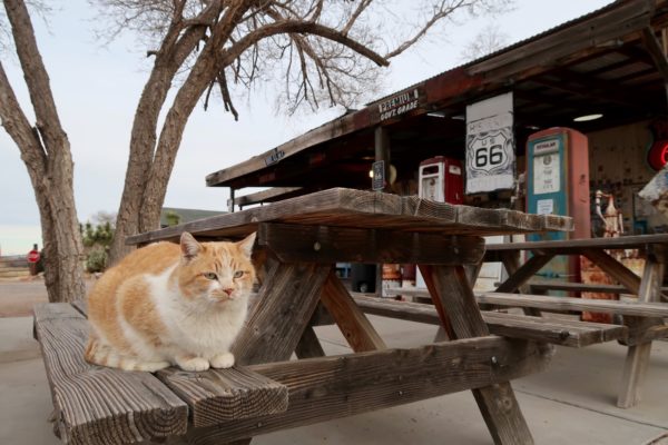 Hackberry General Store