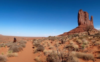 Wildcat Trail
