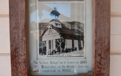 école de Calico