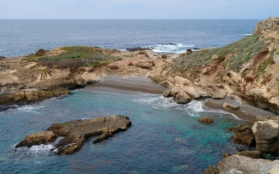 côte Point Lobos