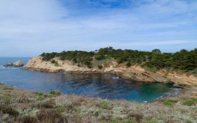 côte Point Lobos