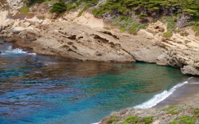 côte Point Lobos