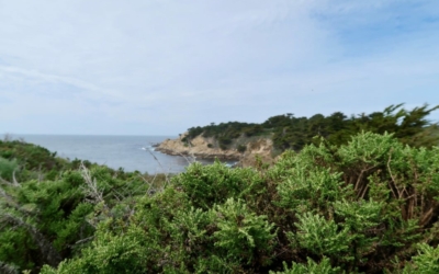 côte Point Lobos