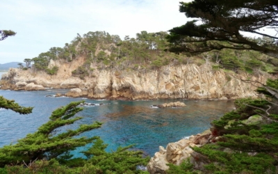 côte Point Lobos