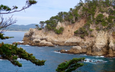 côte Point Lobos