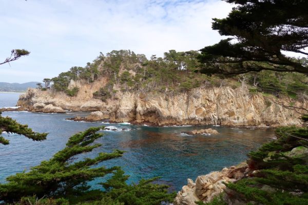 Point Lobos