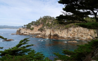 côte Point Lobos