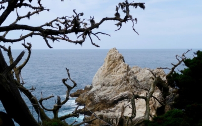 côte Point Lobos