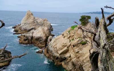 côte Point Lobos