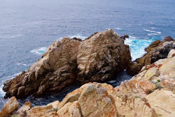 Point Lobos