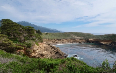 côte Point Lobos