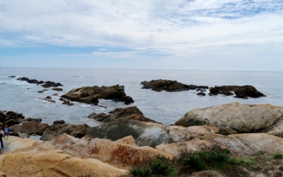 côte Point Lobos