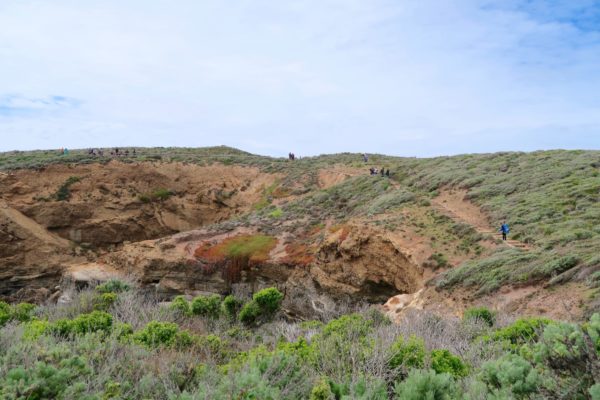 sentiers Point Lobos