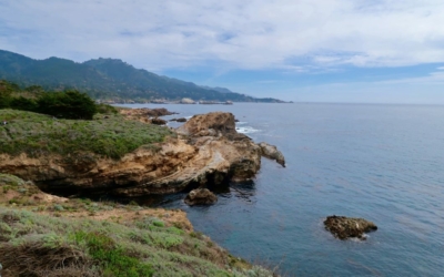 côte Point Lobos