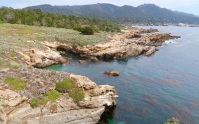 côte Point Lobos