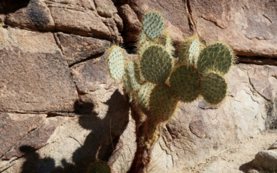 Hidden Valley