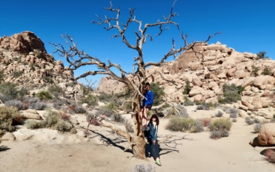 Hidden Valley