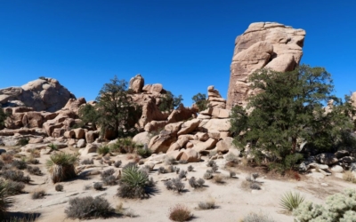 Hidden Valley