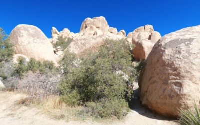 Hidden Valley