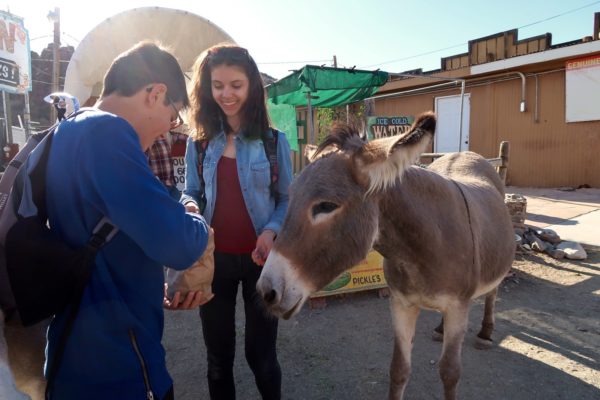 Oatman 