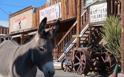 Oatman