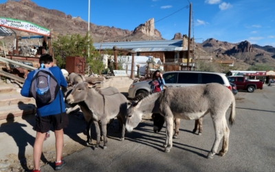 Oatman