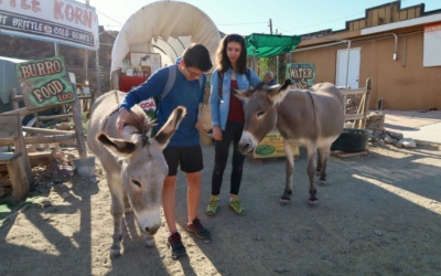Oatman
