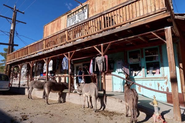 Oatman 