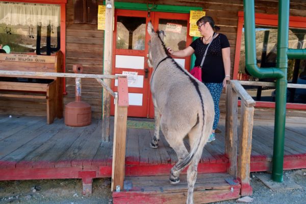 Oatman 