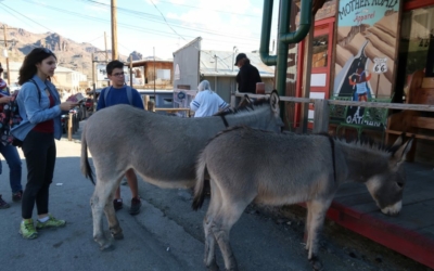 Oatman