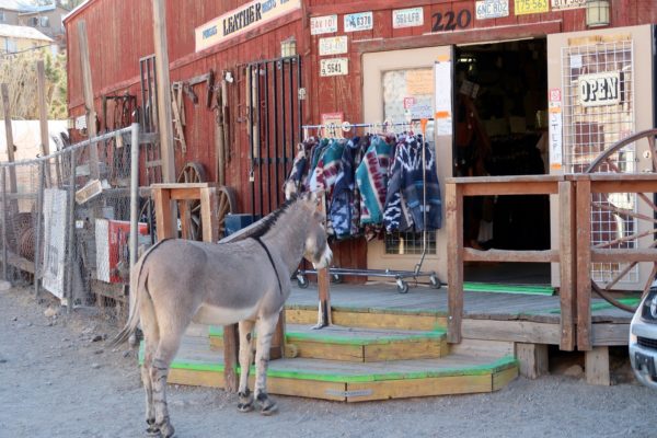Oatman 