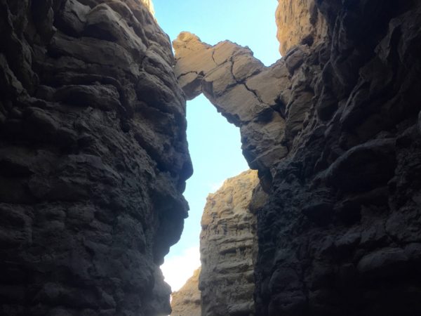 The Slot 
