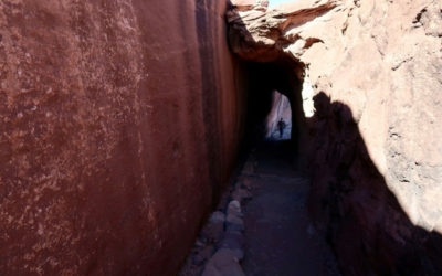 White House Trail