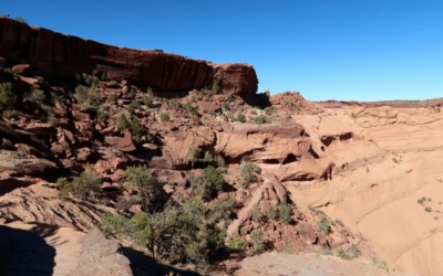 White House Trail
