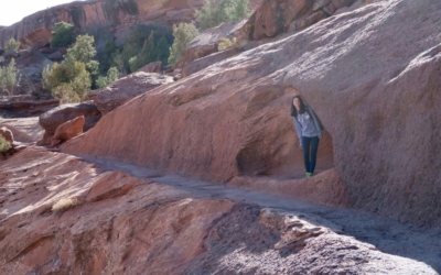 White House Trail