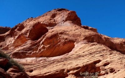 White House Trail