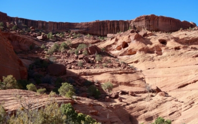 White House Trail