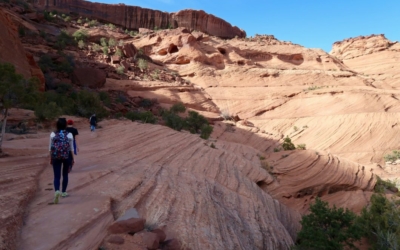 White House Trail