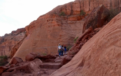 White House Trail
