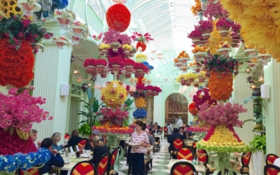 Buffet du Wynn